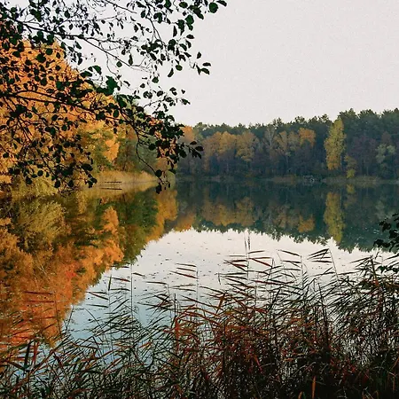 Holiday home Ferienbungalow Am See